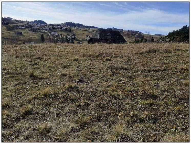 Teren Cu Priveliste Deosebita De Vanzare In Fundata - 3