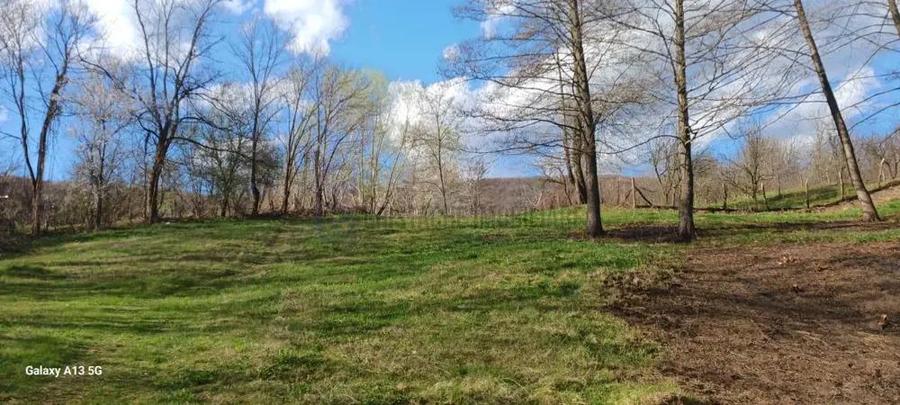 Teren in Comuna Muereasca_suprafata 7489 mp_mixt_situat la 170 m de Primarie - 1