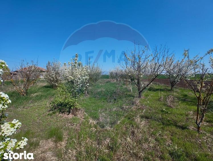 Casa de vanzare cu teren de 2175 mp,anexe si livada generoasa | Mailat - 7