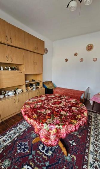 Apa, casa P+M,14 ari teren - 9