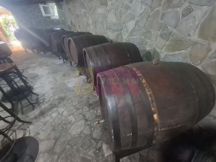 Vila de vanzare in Campina - Zona Lunca Mare - 57