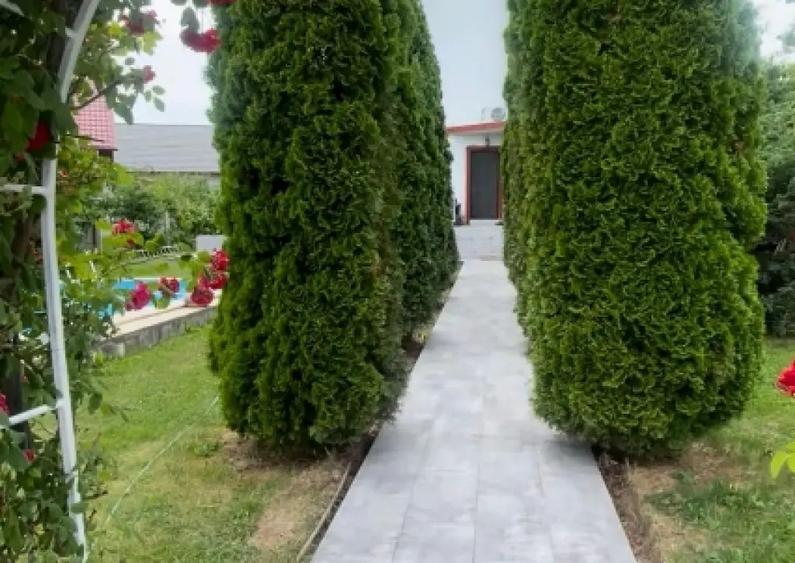 vand vila baicoi - 8