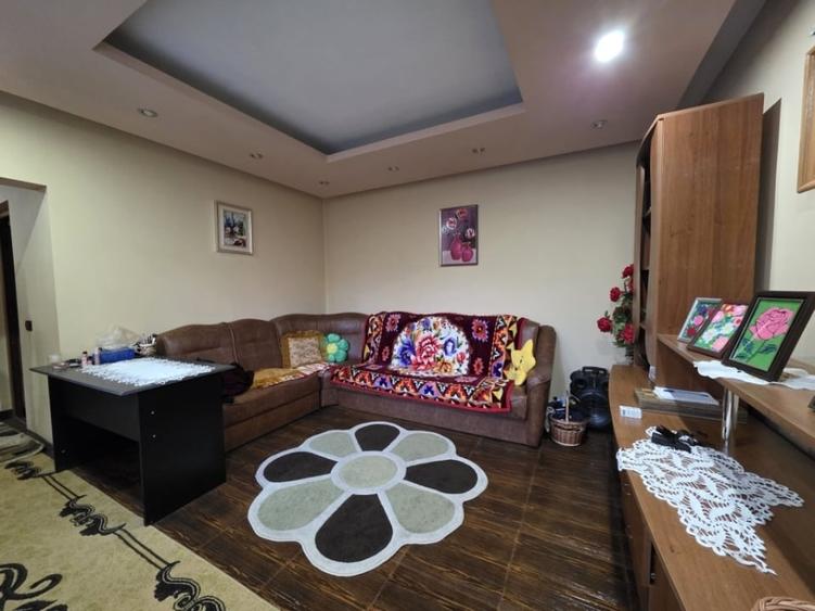 Casa Individuala-zona Podu de Fier - 20