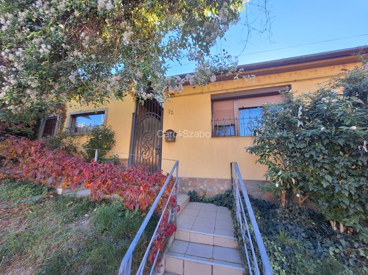 Casa centrală cu curte proprie