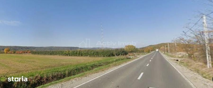 Teren intravilan 13060 mp | Deschidere 64 m la DN72A Voinesti - 2