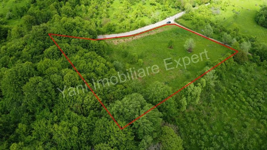 Teren de vanzare in comuna Corbi, jude? Arge?. - 16