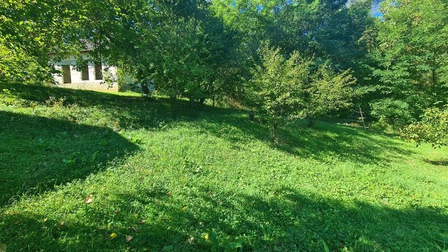 Casa la ro?u + 4391 mp teren de vanzare in comuna Valea Danului, sat Borobane?ti, jude? Arge?. - 16