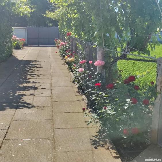 Casa la ?ara de vanzare - 7