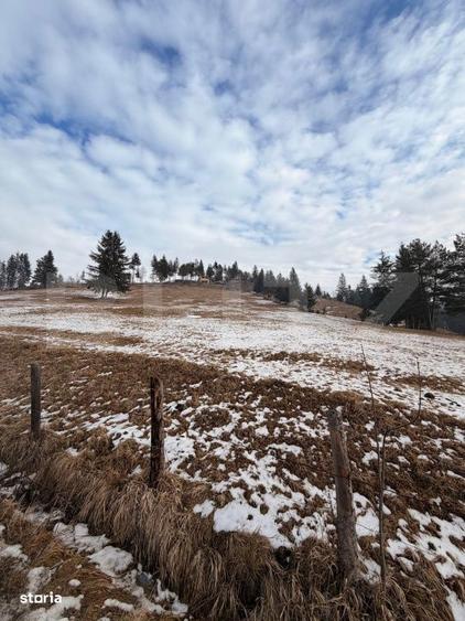 Teren extravilan 8290 mp, Front 50ml - Sadova - Panorama Bucovinei - 3