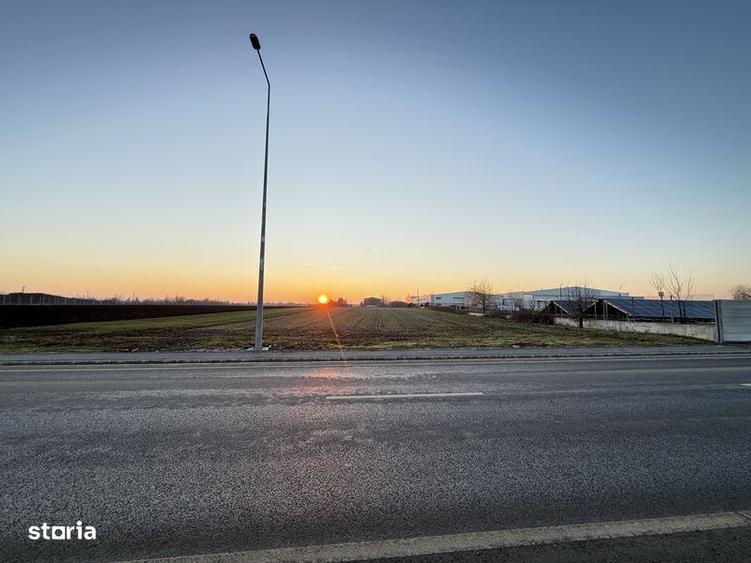 Teren 5000 mp Brane?ti deschidere 2 drumuri utilita?i langa DN3 & A2 - 2