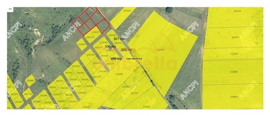 Teren de vanzare extravilan pe Valea Chintaului, 3.500/?/30 /? - 3