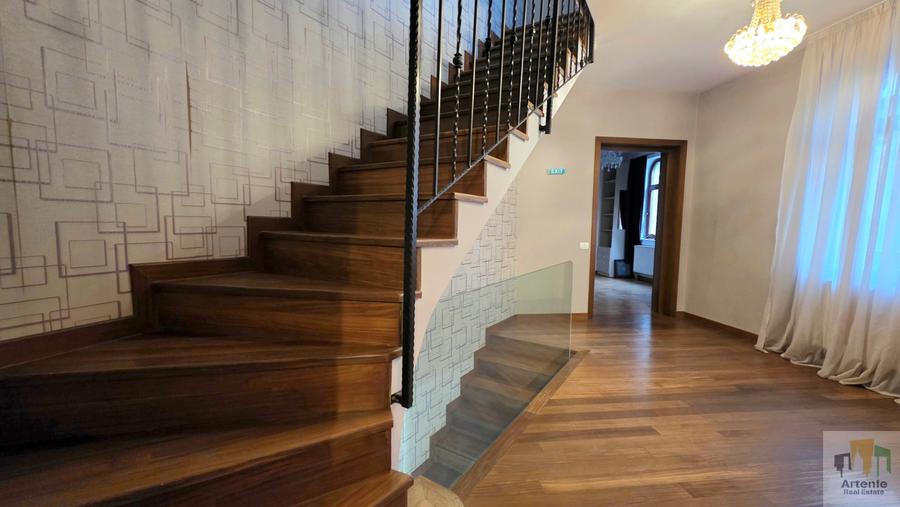 Pache Protopopescu - Matei Voievod vila singur curte - 3