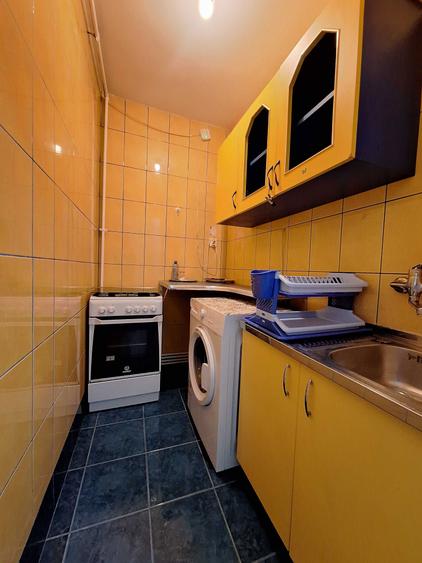 Garsoniera Titan - Constantin Brancusi - 8