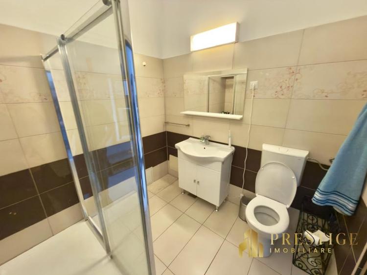 Apartament PET FRIENDLY cu 1 camera de inchiriat Ultracentral - Oradea - 8