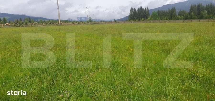 Teren extravilan, 6200 mp, zona Saru Dornei - Vatra Dornei - 2