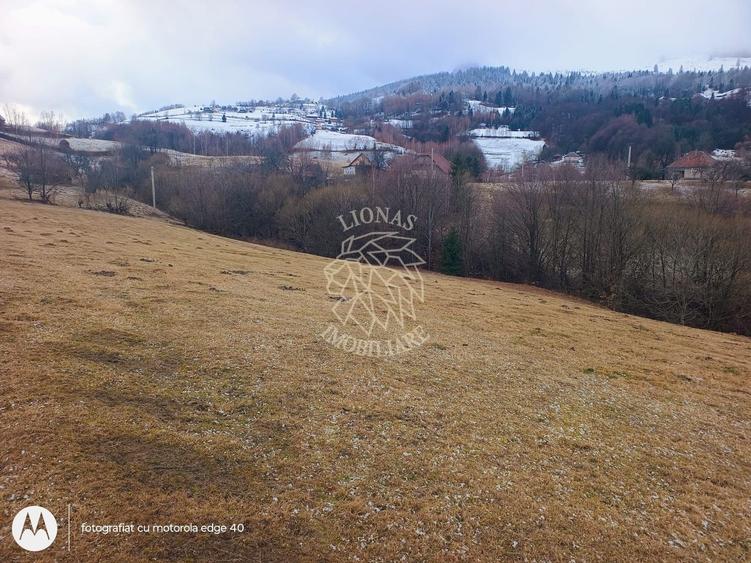 COMISION 0 TEREN TURISTIC EXTRAVILAN APROAPE DE PADURE SACUIEU VLADEASA CLUJ - 9