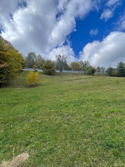 Teren extravilan cu priveliste catre Bucegi – Moieciu de Jos 4.700 mp - 1