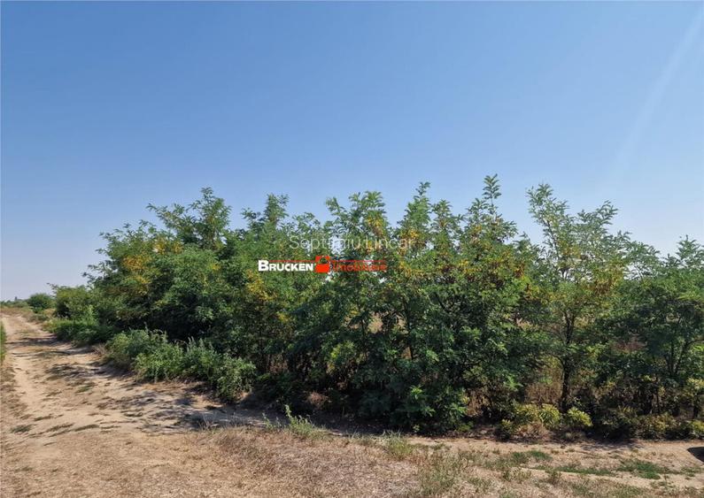 TEREN REZIDENTIAL | TOBOLIU | 1.773 MP