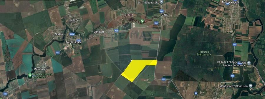 Teren 25.26ha Dascalu / DJ 200 - 3