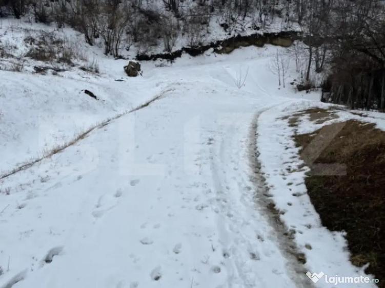 Teren 1240 mp intravilan, Vladiceni - 2