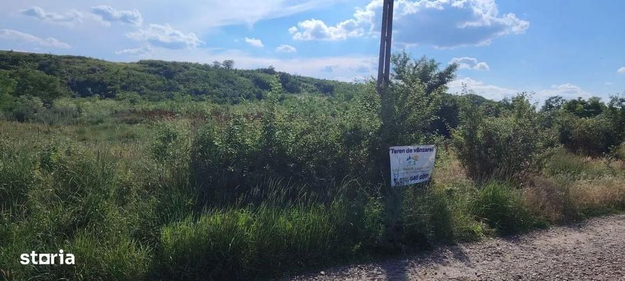 Spațiu comercial, în Belcești