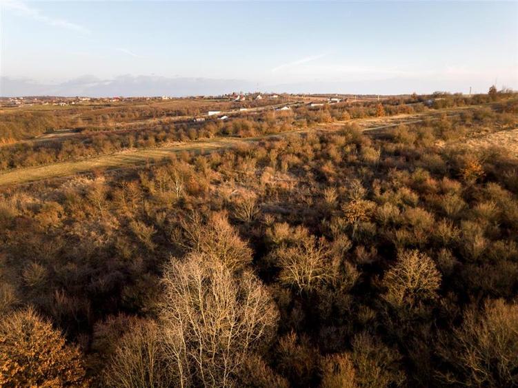 Teren intravilan de 4333 mp, în Săldăbagiu de Munte