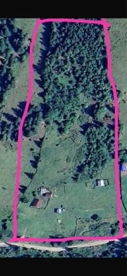 Teren Construcții intravilan de 12000 mp, în Ortoaia