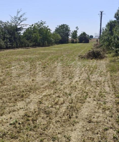 Teren de vanzare, 2.000 mp, deschidere 60 m, zona Dobra - 1