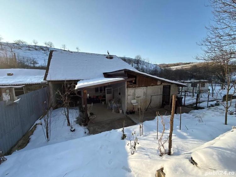 Vand casa in Tarnova - 9