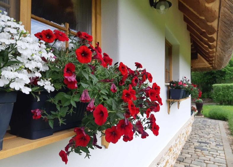 Casa in stil Taditional Romanesc , 170 mp, curte 500mp, strada privata - 3