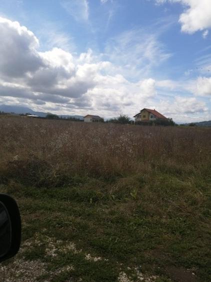 Teren de vanzare Harman - 3