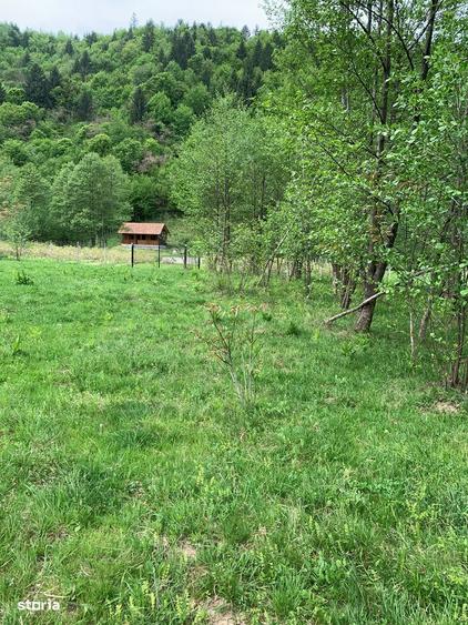 Teren rural de vanzare - electricitate ?i apa - 4