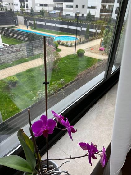 NATURA REZIDENCE, 3 CAMERE LUX, IDEAL INVESTITIE, ETAJ 1, GARAJ, BOXA - 7