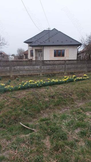 Casa de vanzare Valea Vinului - Satu Mare - 1