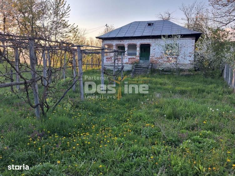 Casa batraneasca cu teren 1150 mp, vie si livada Serbanesti, Paus - 8