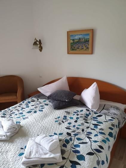 Pensiune de vânzare – ideală pentru investiție - 9