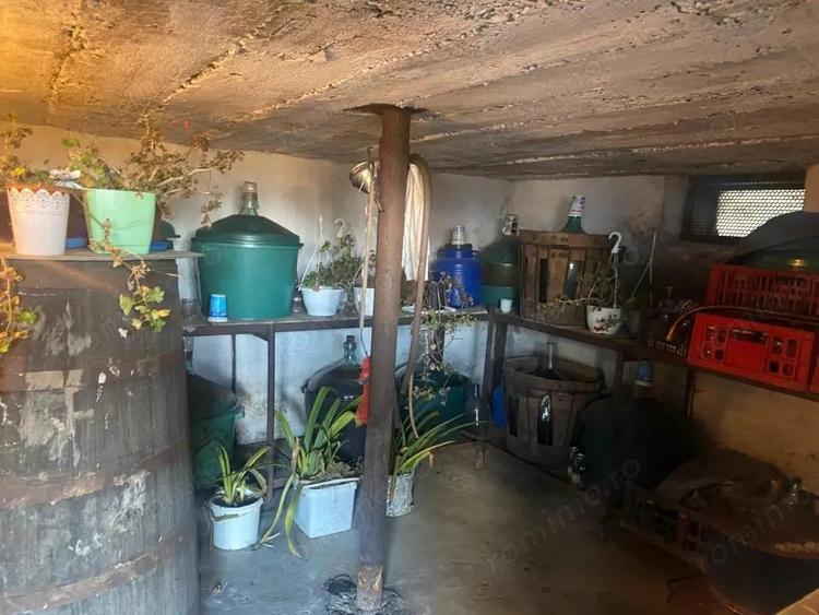 Gospodarie cu doua case ?i teren generos la ?ara ?omane?ti, Gorj - 10