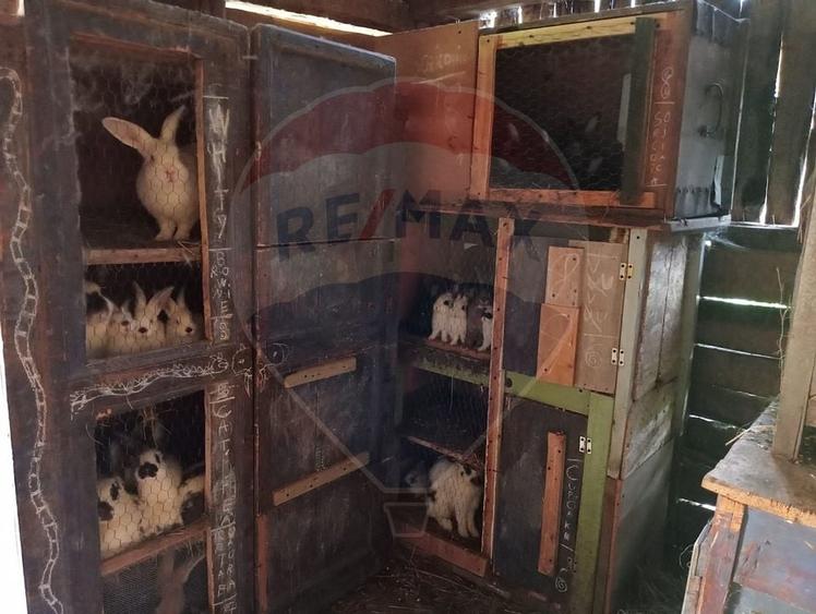 Vanzare casa  4 camere-microferma, cu panouri fotovoltaice - 27