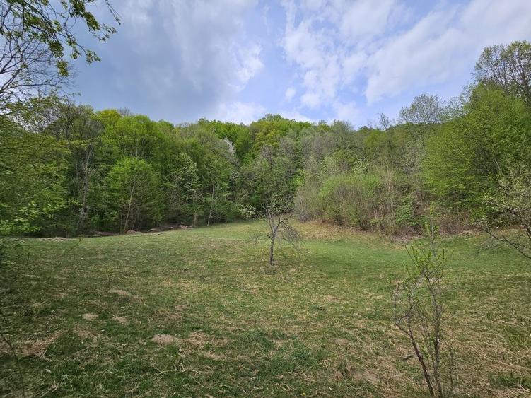 Teren intravilan 1454 mp la marginea padurii zona locuita de case! - 4