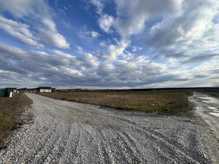 Oportunitate investitionala sau teren pretabil pentru constructii - 7