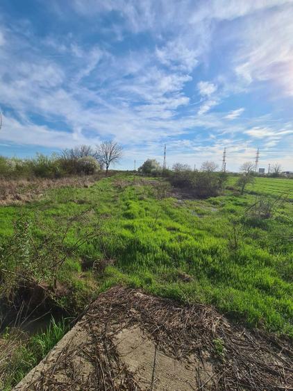 Teren intravilan - loc de casa Mihailesti - 4