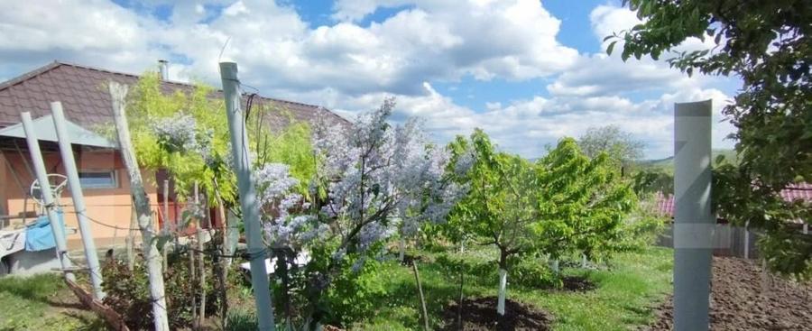 Casa+ casa vacanta, 2200 mp livada, Schitu-Duca - 7