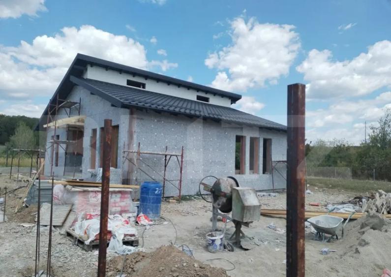 Vila individuala pe parter Priseaca - 17