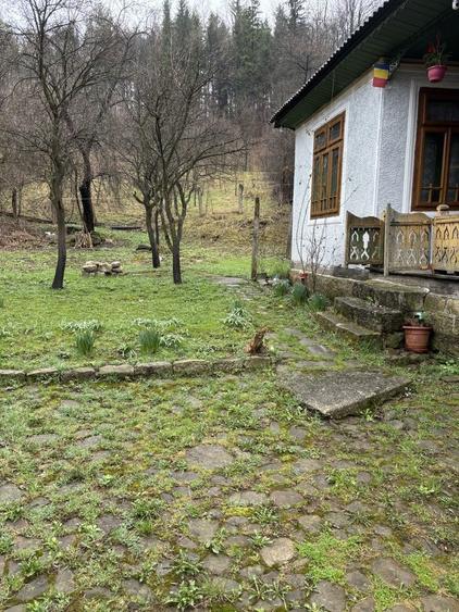 Casa de vacanta la munte in Soveja VN - 4