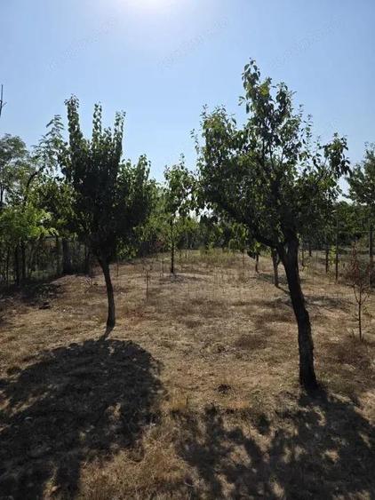 Casa, teren generos Magurele, sat Iazu, Prahova - 11