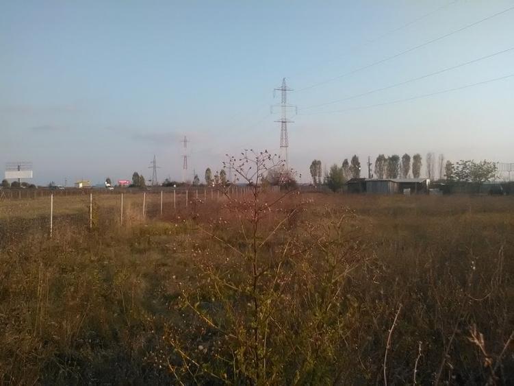 Teren intravilan 5124 MP - Zona  autostrada Ploiesti- Bucuresti - 9