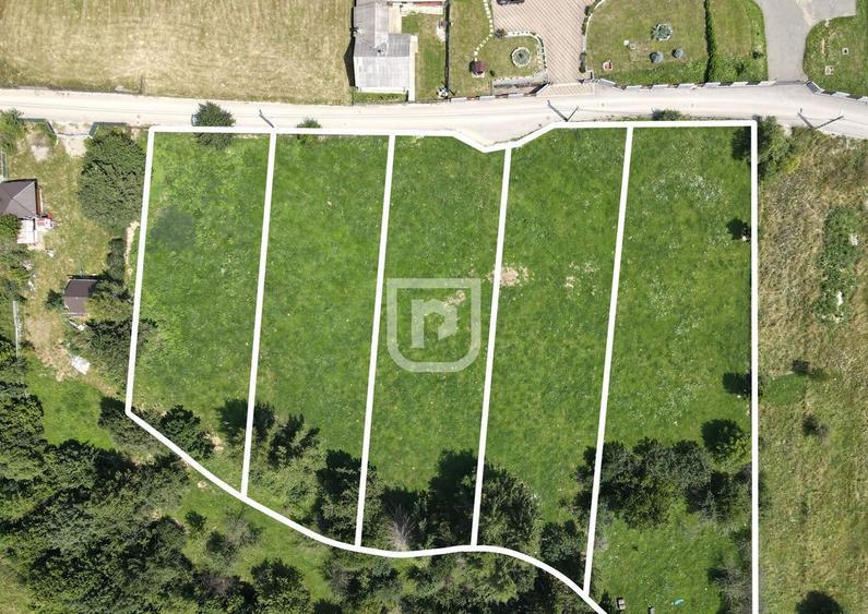 Teren INTRAVILAN Gura Humorului Arinis Bucovina - 1