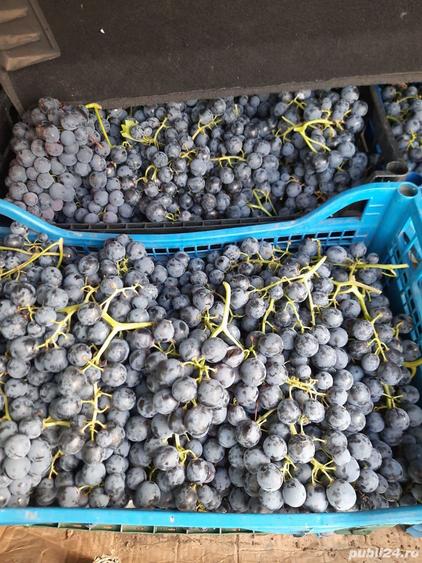 Casa si teren intravilan comuna Dumbraveni, Vrancea - 3