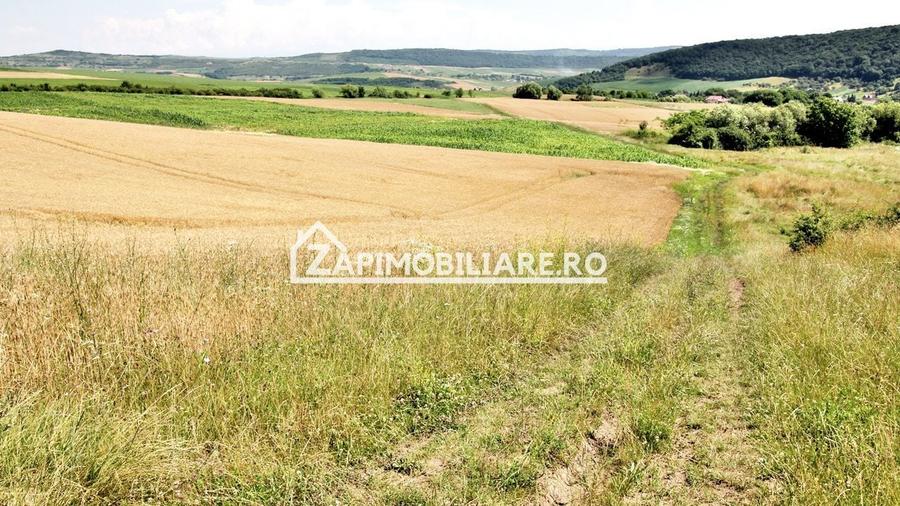 Teren 9.600 mp.17 euro mp deschidere la drum 200 m. - 7