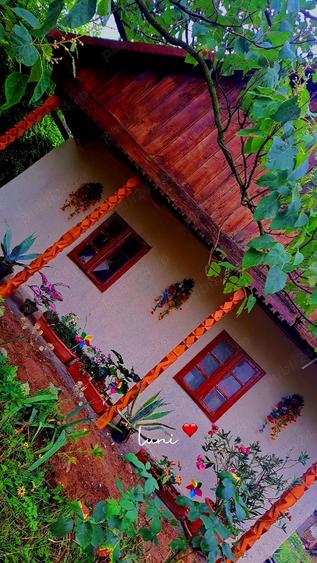 Casa noua cu mansarda si 1.24 hectare teren intravilan - 10